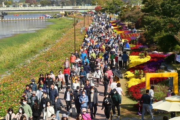‘가을꽃의 감동’ 장성 황룡강 가을꽃축제 막바지 이미지 2