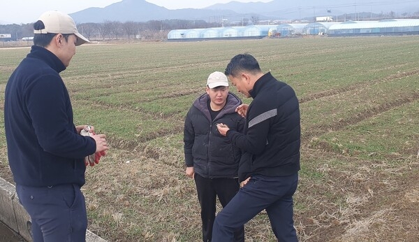 장성군, 월동작물 현장기술지원단 운영… 고품질 농산물 생산 ‘앞장’ 이미지 1