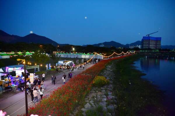 장성군 “꽃과 빛의 향연… 장성 황룡강 낭만 가득” 이미지 2