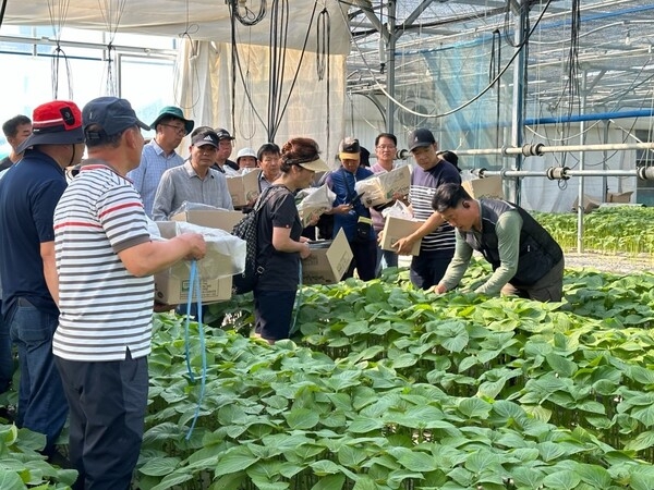 장성군, ‘성공 귀농 디딤돌’ 귀농학교 농업기초과정 모집 이미지 1
