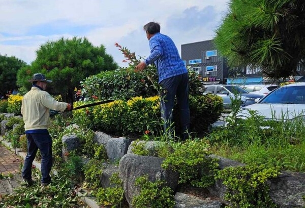 장성군 삼계면 고성골 주민정원사 화제! 이미지 3