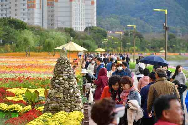 “당신의 가을… 장성으로부터” 장성군 황룡강 가을꽃축제 10월 7일 개막! 이미지 3