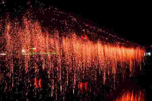 [기획] 장성군 황룡강 가을꽃축제, ‘완벽한 구성’ 찬사 속 폐막 이미지 3