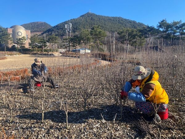 [포토] “장성군 무궁화공원에 전정 봉사 왔습니다” 이미지 1