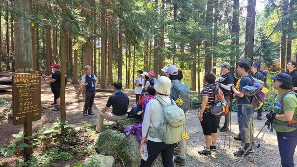 ‘편백숲의 고장’ 장성군, 숲 해설 운영 이미지 2