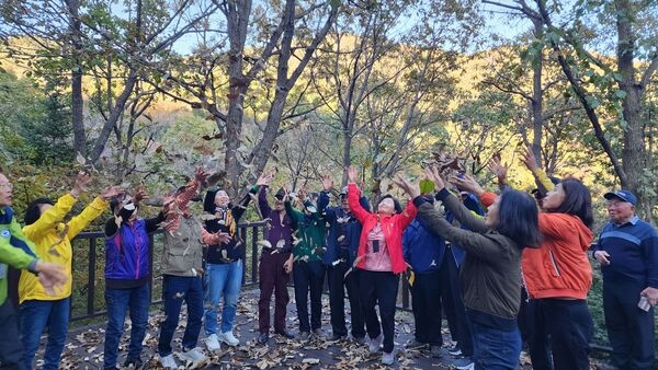 ‘편백숲의 고장’ 장성군, 숲 해설 운영 이미지 3