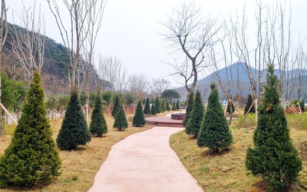 장성군, 평림댐에 ‘기후변화 도시숲’ 조성 이미지 2