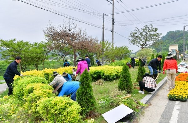 장성군 그린장성21추진협의회, 꽃밭 가꾸기 추진 이미지 1