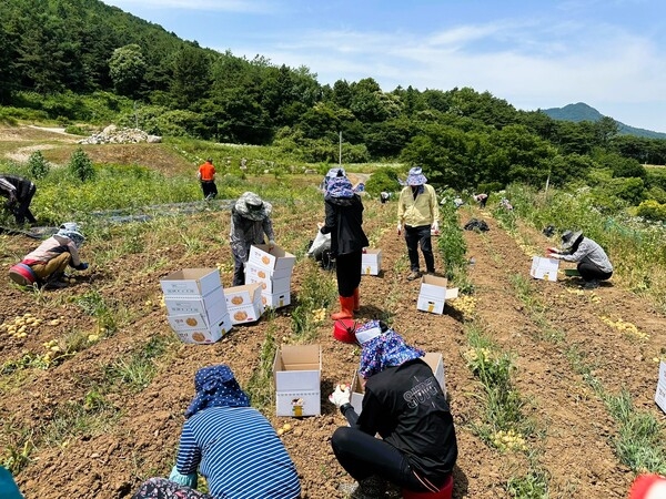 장성군 삼계면, 상무대 보병학교와 ‘농촌 일손돕기’ 이미지 1