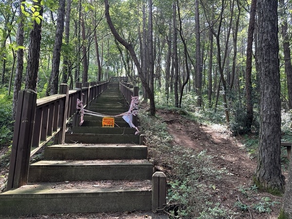 장성군, 제봉산 등 주요 등산로 시설 정비 이미지 1