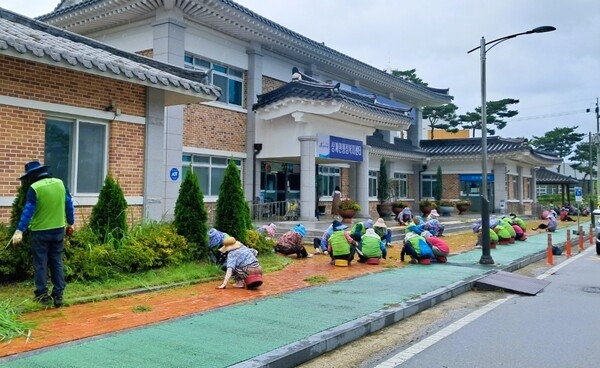 장성군 삼계면, 아름다운 가을 꽃길 조성! 이미지 3