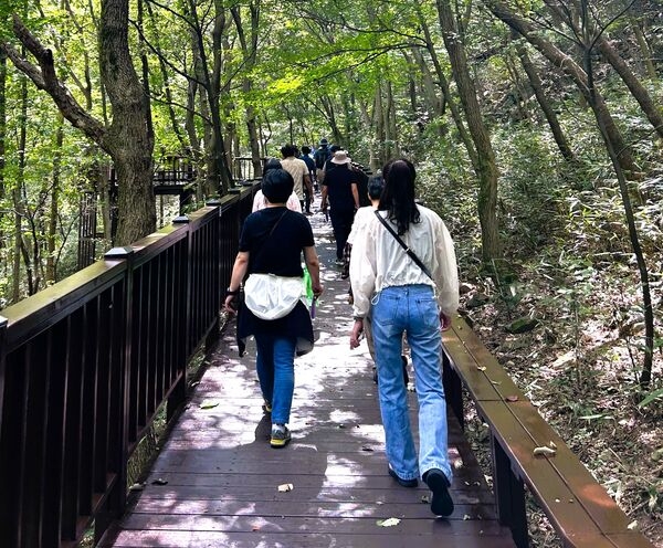 장성군, 자연과 함께하는 건강 동행! ‘숲속 힐링 테라피’ 운영 이미지 2