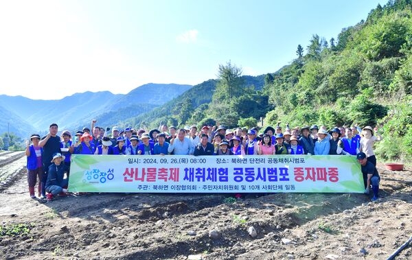 장성군 북하면 ‘산나물축제’  기대감 쑥쑥! 이미지 2
