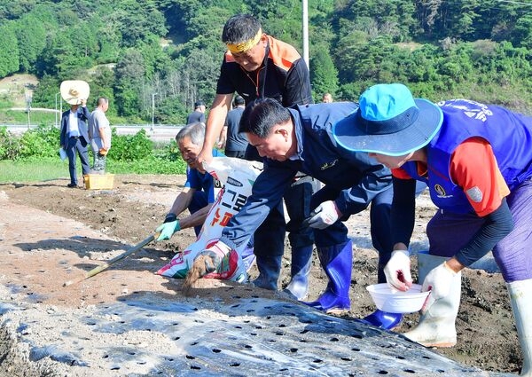 장성군 북하면 ‘산나물축제’  기대감 쑥쑥! 이미지 1