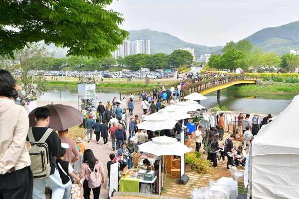 장성군 “축제는 끝났지만… 황룡강 봄꽃은 지금부터” 이미지 3