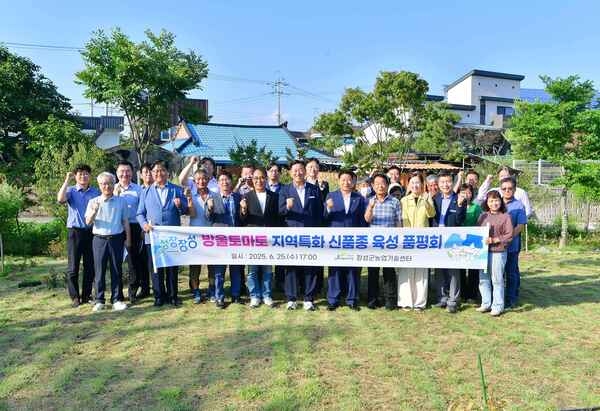 장성군, 병해 강하고 맛 좋은 신품종 방울토마토 시범재배 이미지 2
