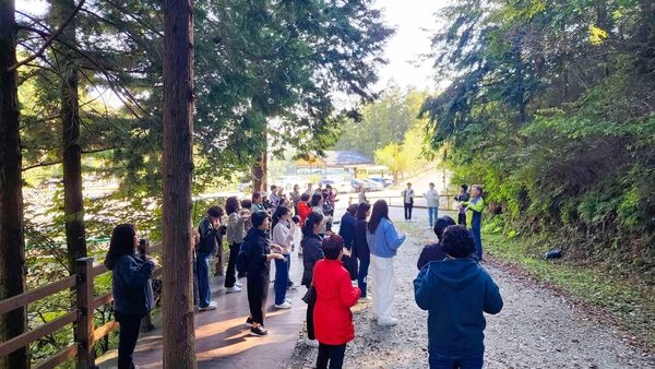 “숲에서 놀아요” 장성군, 온 가족 함께하는 숲 프로그램 선봬 이미지 2