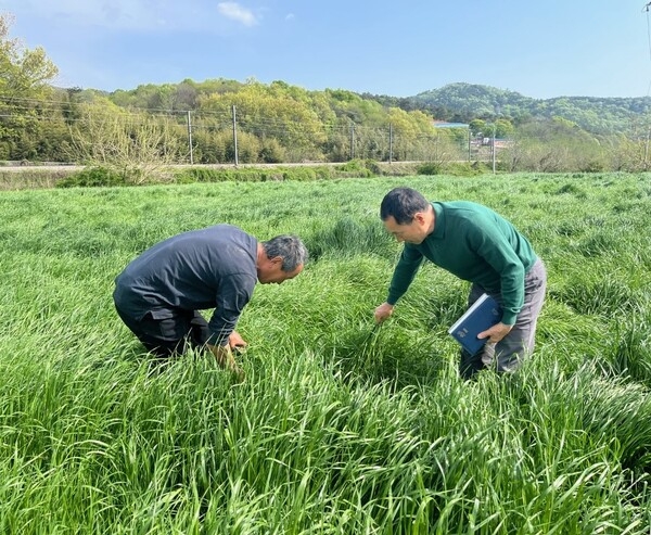 장성군, 중동사태 장기화 대응… 농가 경영에 36억여 원 지원 이미지 2