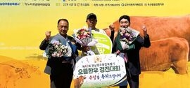 장성군 ‘명품 한우’가 으뜸… 2개 부문 수상 쾌거!, 보도자료