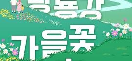 “꽃강에서 맥주 파티” 장성 황룡강 가을꽃축제, 이보다 더 재미있을 순 없다!, 보도자료