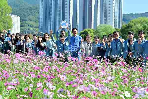 [포토] 장성군 “최고의 황룡강 가을꽃축제 선사”  이미지 4