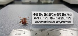 풀숲, 논밭도 조심… 장성군 “진드기 매개 감염병 주의”, 보도자료