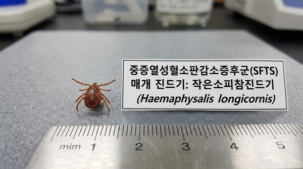 풀숲, 논밭도 조심… 장성군 “진드기 매개 감염병 주의” 이미지 1