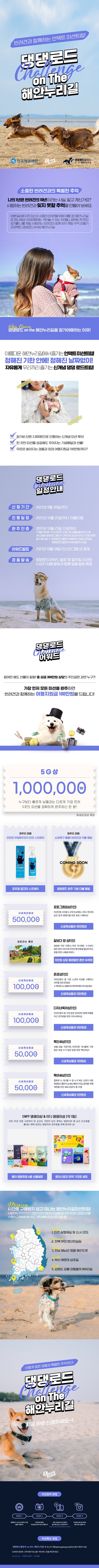 [전남해남군] 반려견과 함께하는 댕댕로드 첼린지 이미지 1