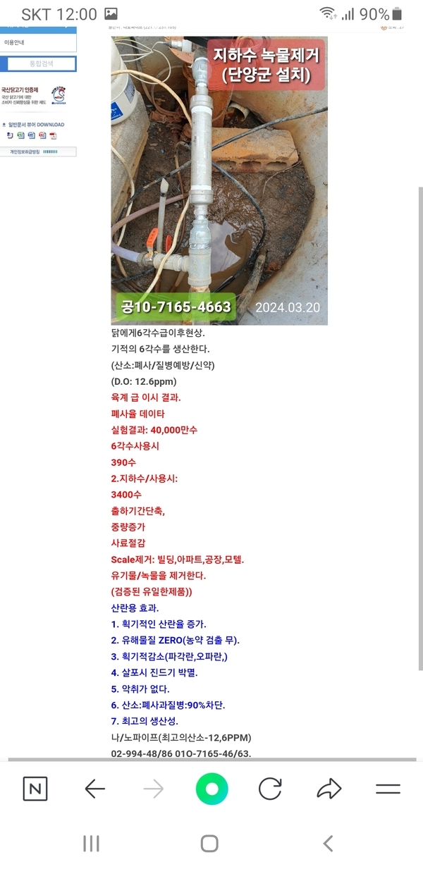 양계장뉴스 이미지 1