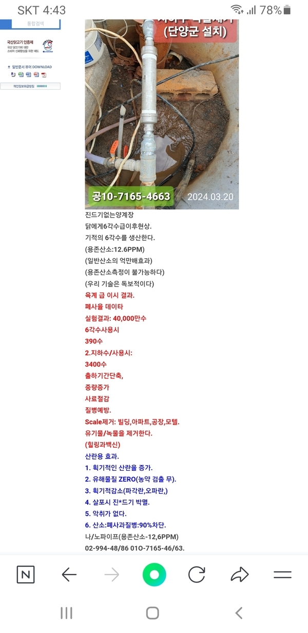 양계장뉴스 이미지 1