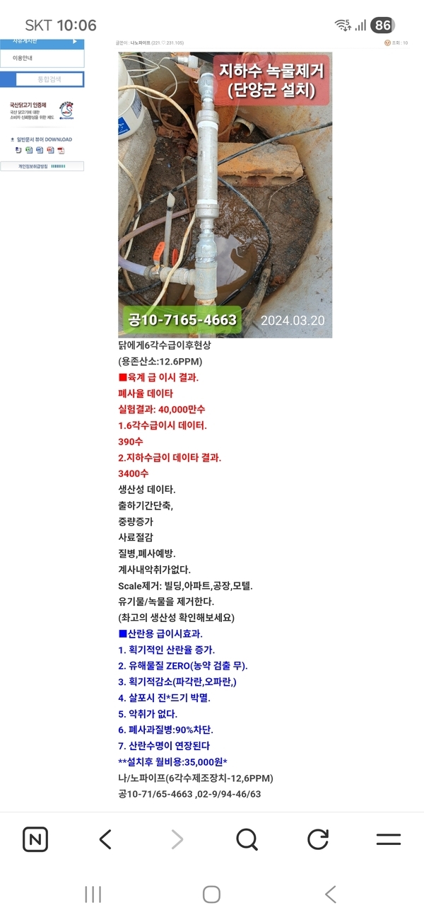닭에게6각수급이후현상 이미지 1