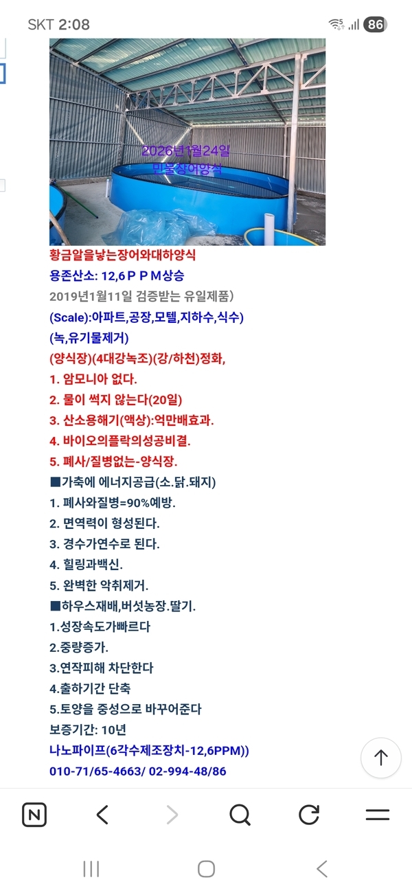 장어와대하 이미지 1