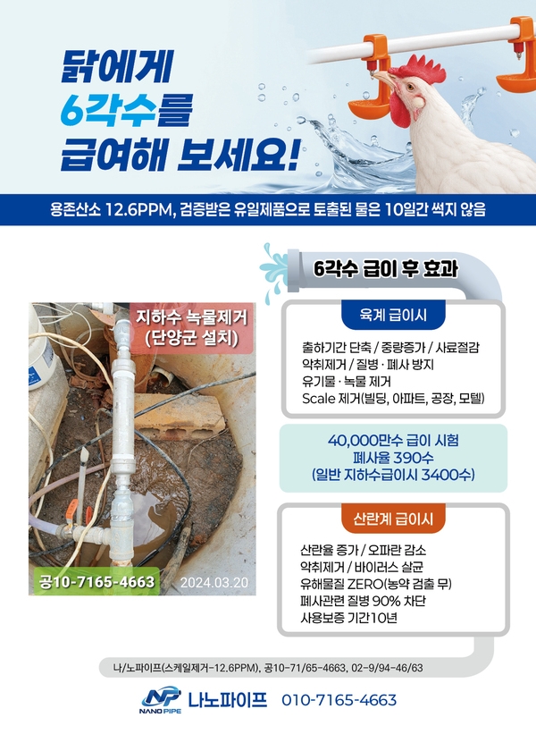 양계장뉴스 이미지 1