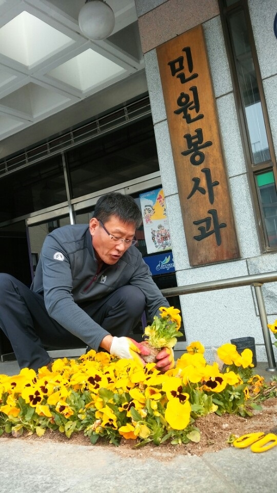 민원실 입구 팬지 식재 이미지 1