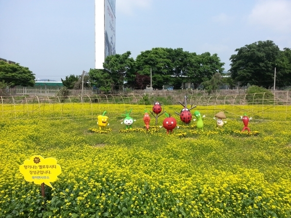 옐로우시티 꽃밭 전경(2015.5월) 이미지 1