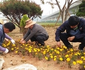 농촌일손돕기 가는 길에 만...