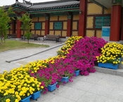 평생교육센터 꽃밭입니다.