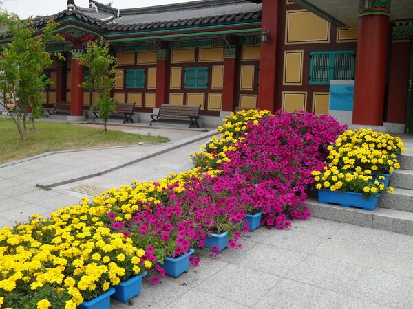평생교육센터 꽃밭입니다. 이미지 1
