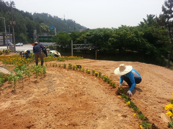 드디어 꽃동산 완료 이미지 2