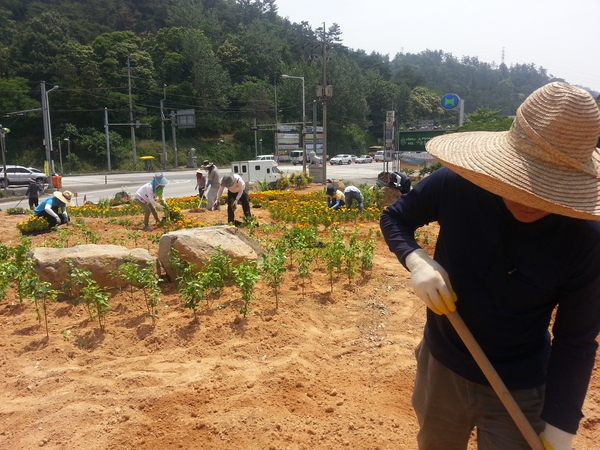 드디어 꽃동산 완료 이미지 4