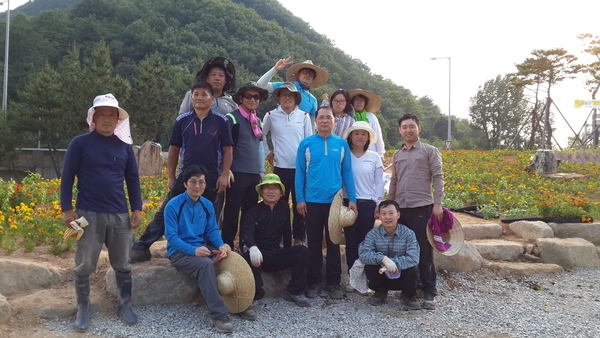 총무과 옐로우시티 조성 진행과정 이미지 1