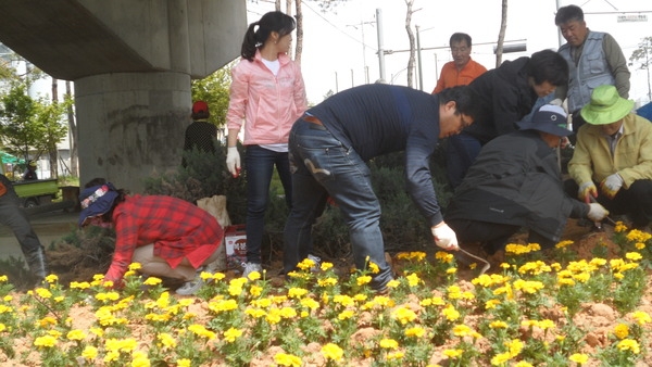 환경위생과· 한국외식업조합 장성군지부 조성사진 이미지 3