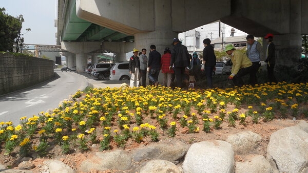 환경위생과· 한국외식업조합 장성군지부 조성사진 이미지 5