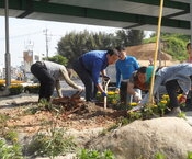 환경위생과· 한국외식업조합...