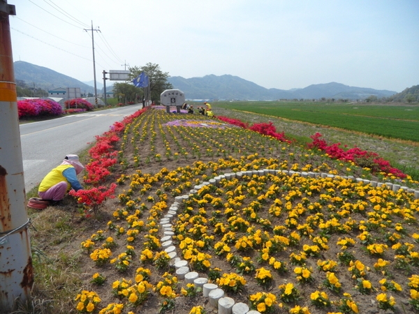 옐로우시티 조성기록(2015. 4월) 이미지 2