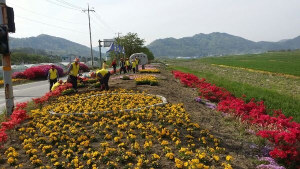 옐로우시티 조성기록(2015. 4월) 이미지 5