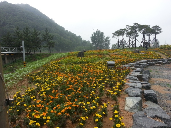 울력을 기약하며~ 이미지 1