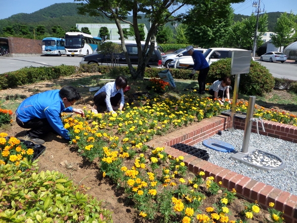 노란 꽃동산을 만들었어요~*^^* 이미지 1