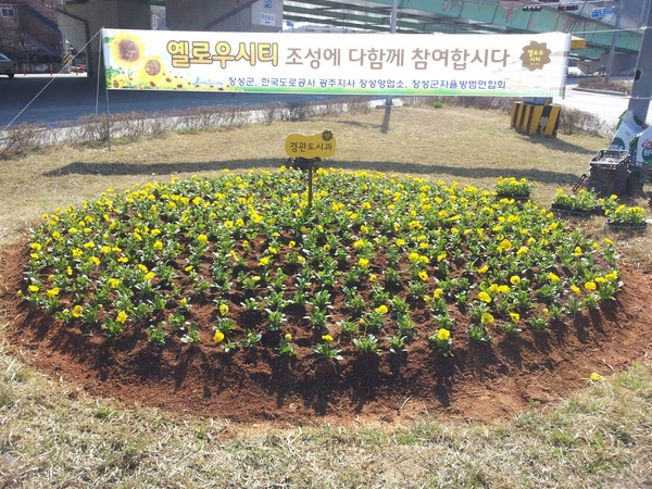 경관도시과 꽃밭^^ 이미지 1