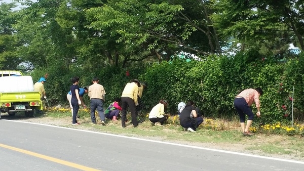 맑은물관리사업소 옐로우시티 조성장면 이미지 5